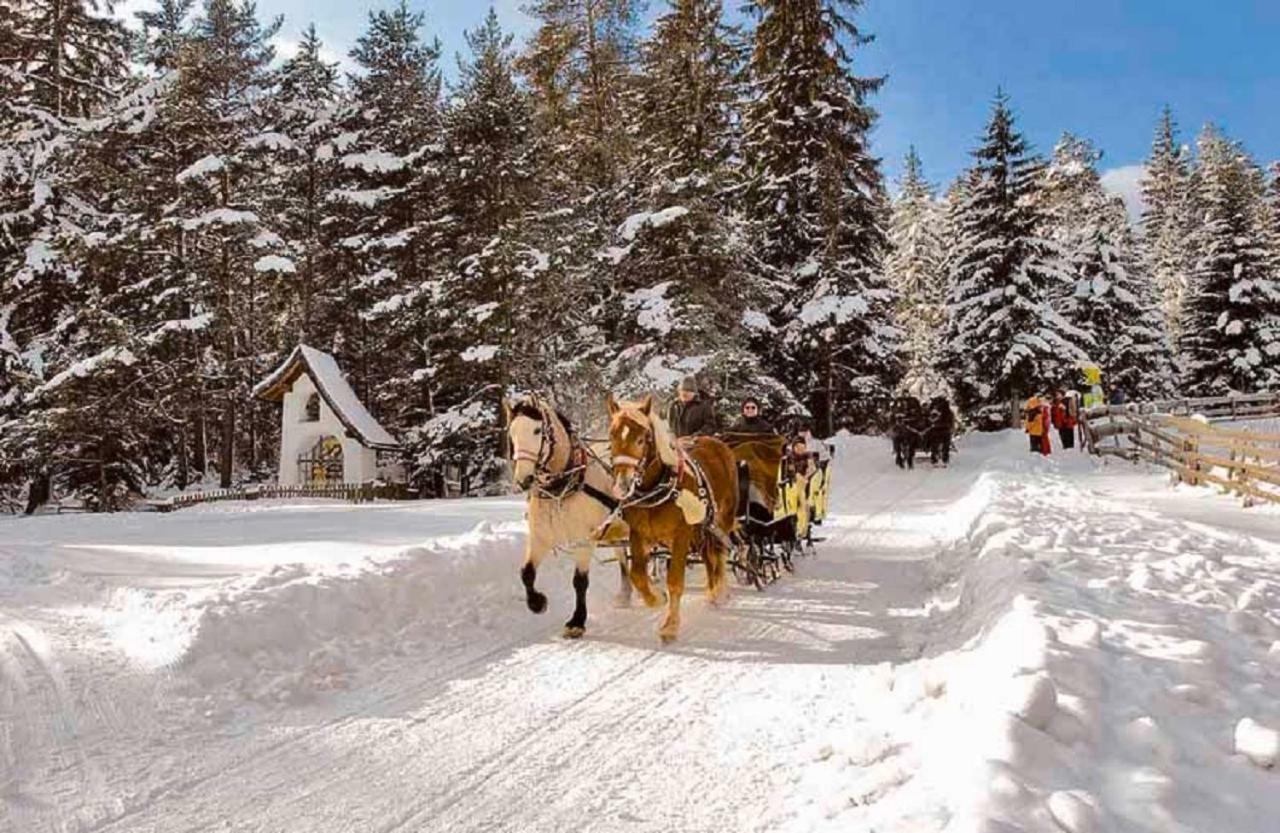 Appartmenthaus Birkenwald Зефельд-ін-Тіроль Екстер'єр фото