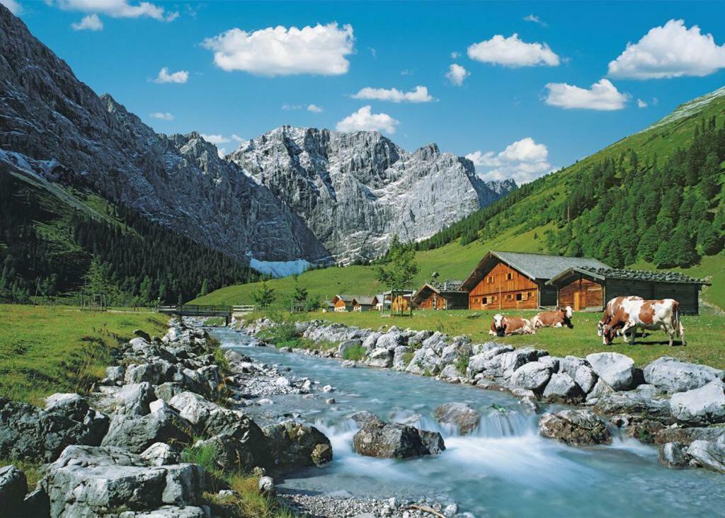 Appartmenthaus Birkenwald Зефельд-ін-Тіроль Екстер'єр фото
